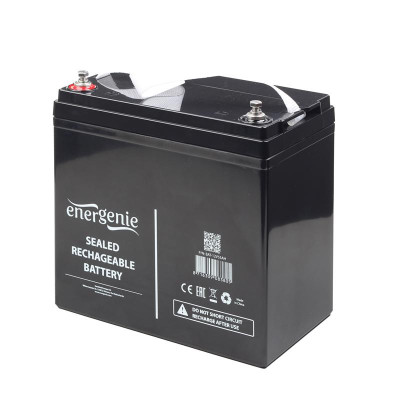 Аккумулятор EnerGenie (BAT-12V55AH) 12В 55AH AGM